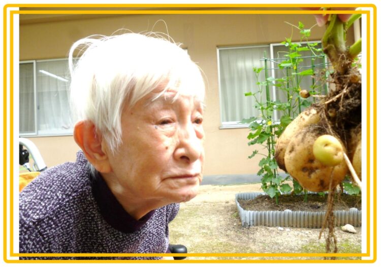じゃがいも
