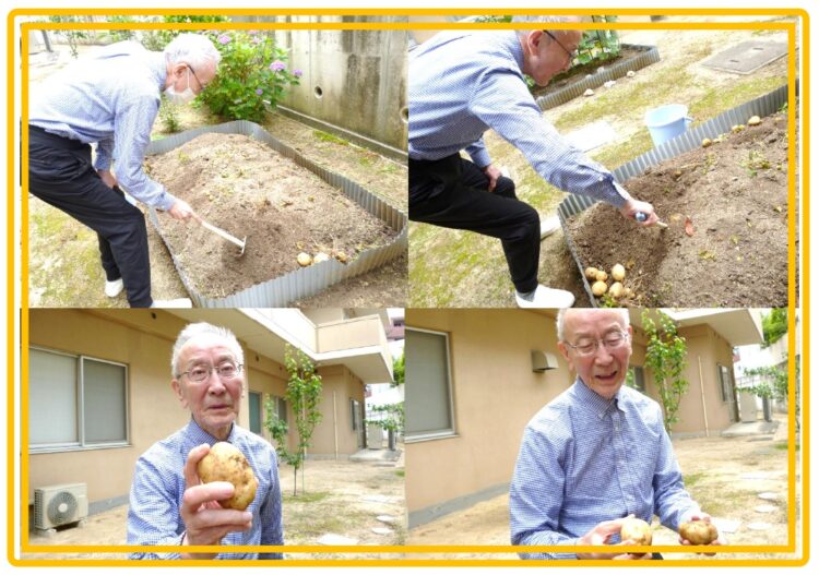 ゴロゴロとたくさんじゃがいもがでてきました